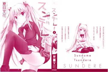 [Natsume Fumika] Sundere! Vol. 01 Fhentai - Page 3