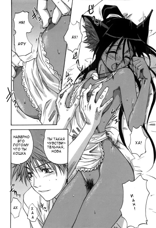 [Mitarashi Kousei] Neko no Ongaeshi | Кошка, которая платит за доброту Fhentai - Page 14