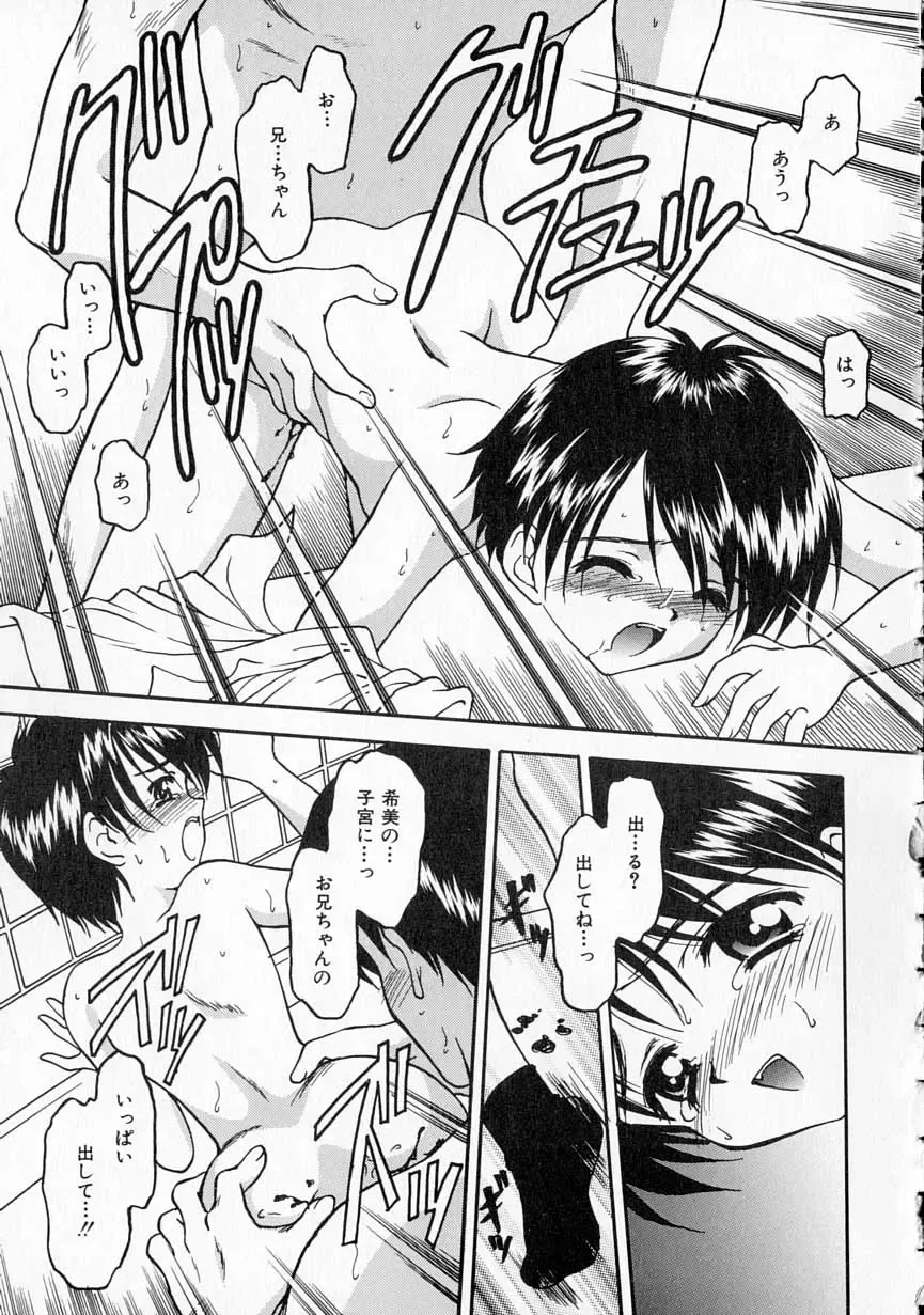 [Kageno Illyss] Yawaraka na Kusari Fhentai - Page 44