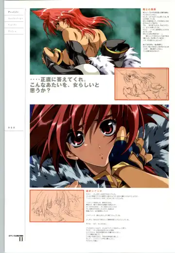 Romance wa Tsurugi no Kagayaki II - Koushiki Kaido - Emotional Fanbook Fhentai - Page 41