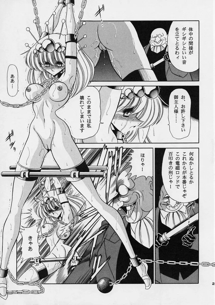 [Horikawa Gorou] ROBIN Fhentai - Page 23