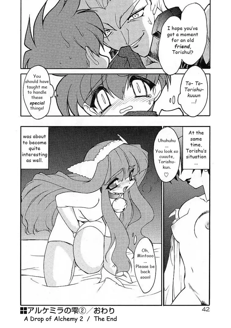 [Ruuen Rouga] Alchemy no Shizuku (Drop of Alchemy) Volume 01 Fhentai - Page 43