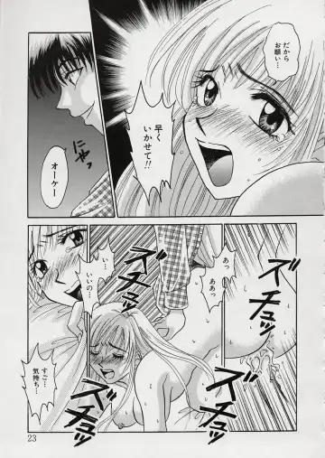 [Gotoh Akira] Erotomania ~Renai Mousou~ Fhentai - Page 27