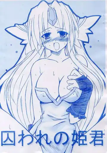 Read [Hata] Toraware no Himegimi - Fhentai