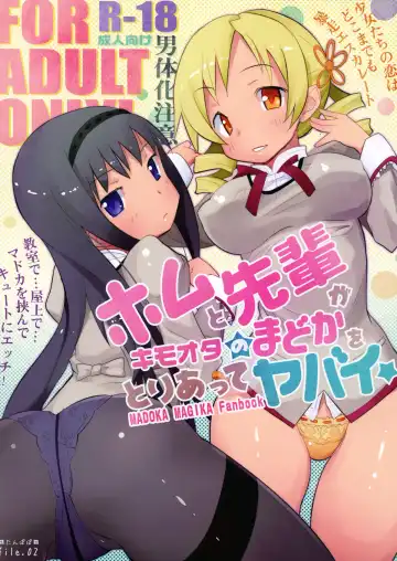 Read [Anshin Mama] Homu to Senpai ga Kimoota no Madoka wo Toriatte Yabai - Fhentai