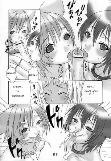 [Palco Nagashima] Ibarinbou Chihuahua Fhentai - Page 19