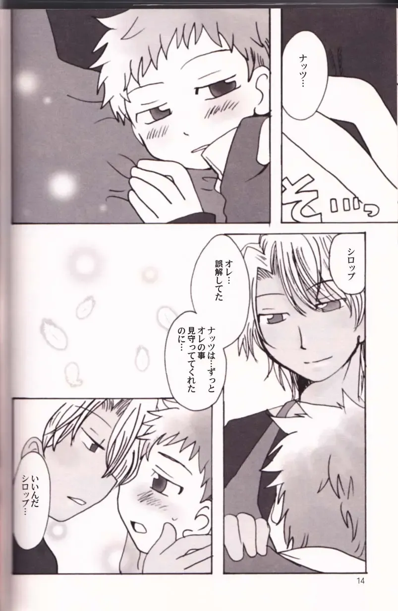 [Minagata] Sweet Syrup Fhentai - Page 13