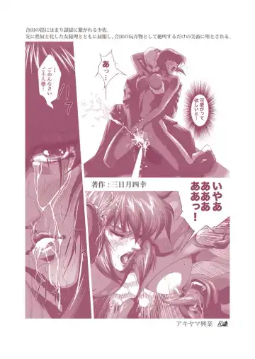 [Mikazuki Shikou] Dennou Bichiku Fhentai - Page 26