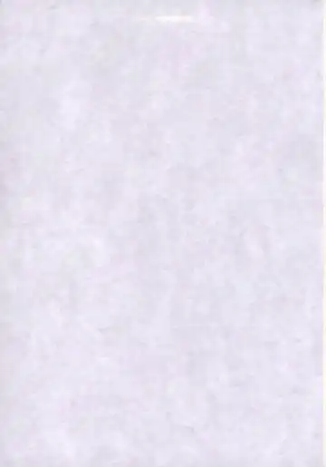 [Kousaka Jun] Eva Nyan Goranshin Fhentai - Page 2