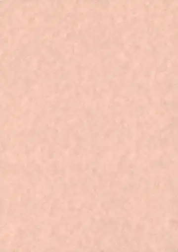 [Kapo] Stage 2 Fhentai - Page 27