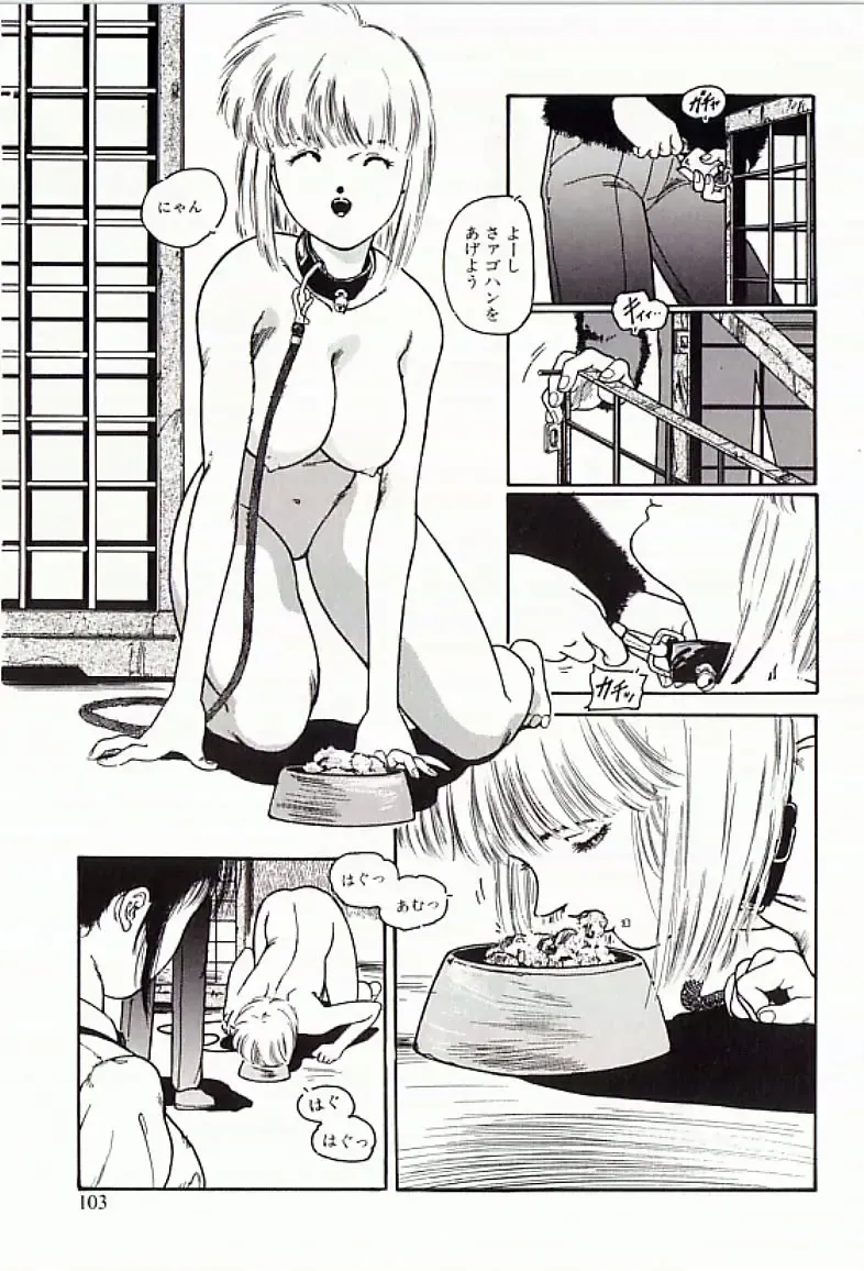 [Protonsaurus] 18-Kin Fhentai - Page 104