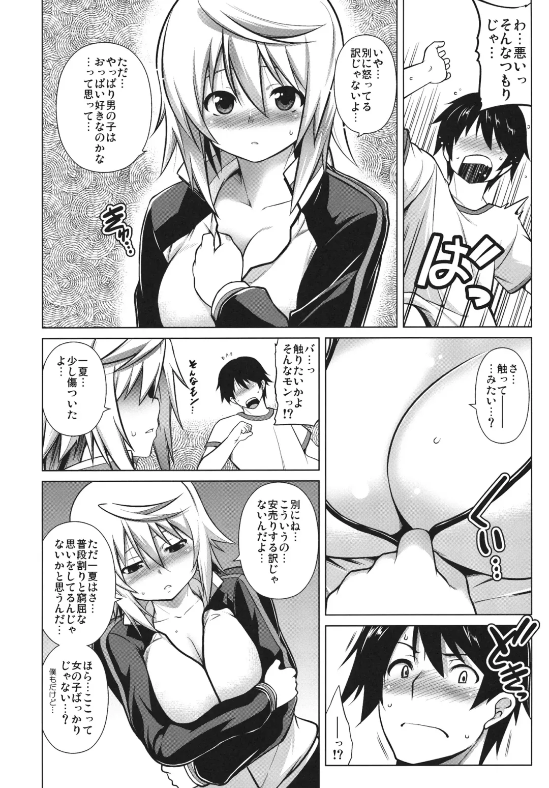 [Tanabe] Ryakushite IS Fhentai - Page 3
