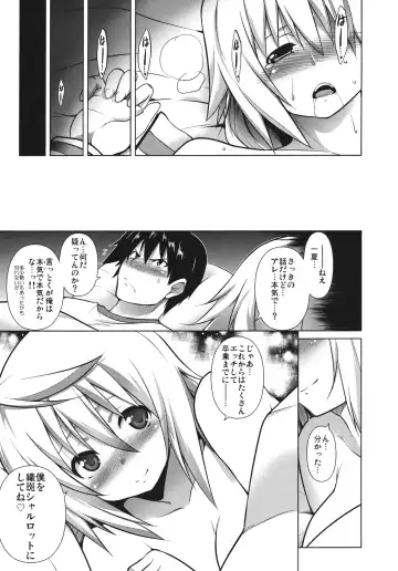 [Tanabe] Ryakushite IS Fhentai - Page 24