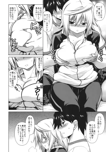 [Tanabe] Ryakushite IS Fhentai - Page 5