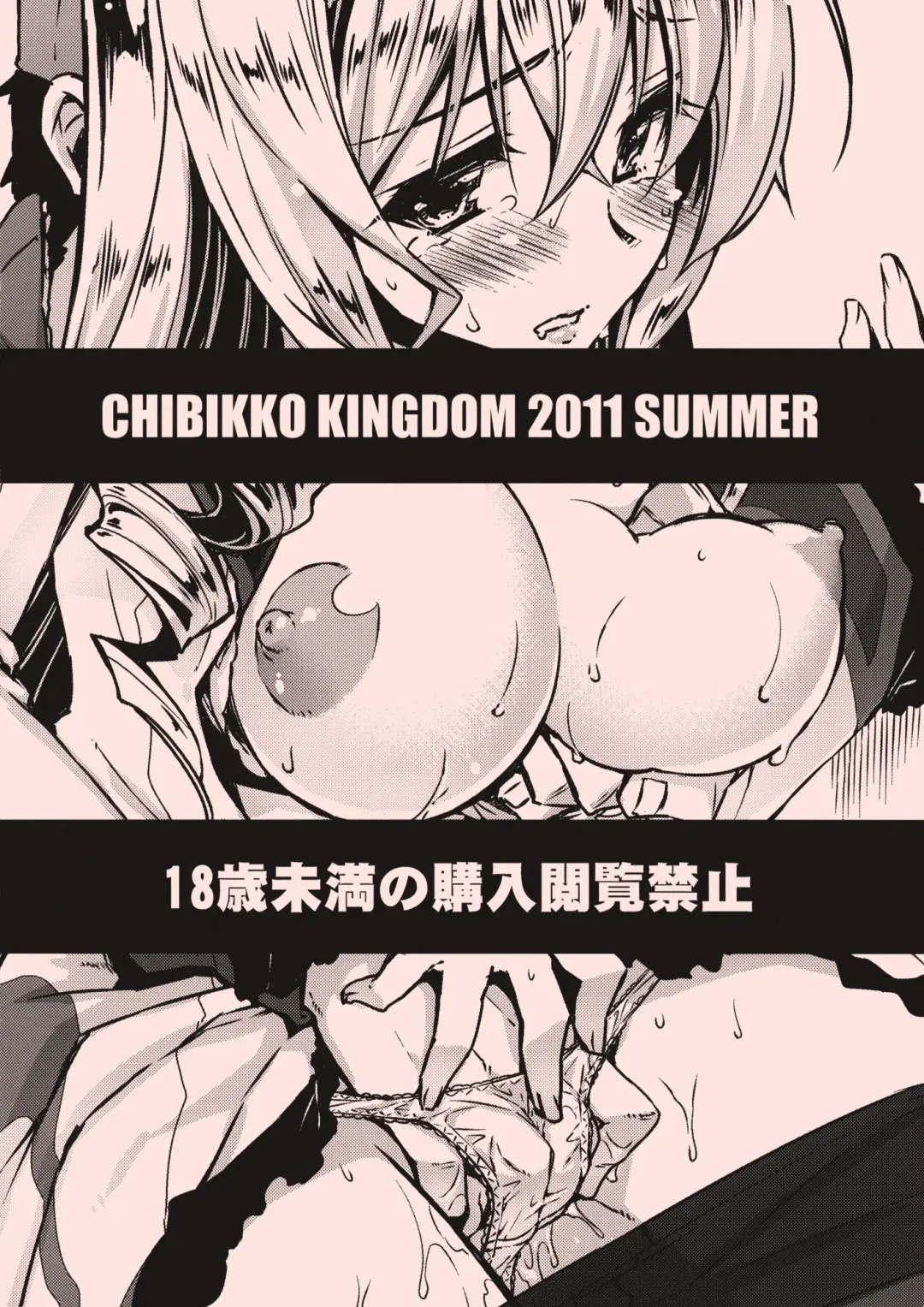 [Kekocha] Cecilia Chou Tokkyuu + IS Ero Uchiwa Fhentai - Page 30