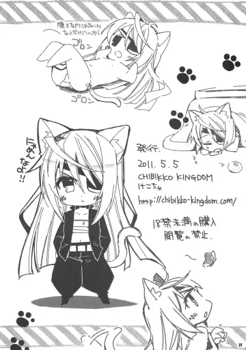 [Kekocha] Cecilia Chou Tokkyuu + IS Ero Uchiwa Fhentai - Page 26