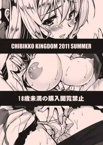 [Kekocha] Cecilia Chou Tokkyuu + IS Ero Uchiwa Fhentai - Page 30