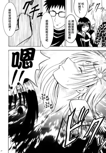 [Crimson] Sephiria Hard Fhentai - Page 24