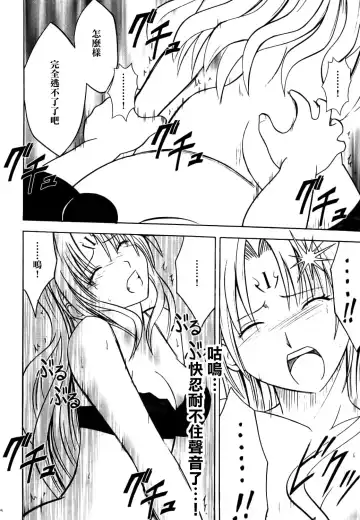 [Crimson] Sephiria Hard Fhentai - Page 44