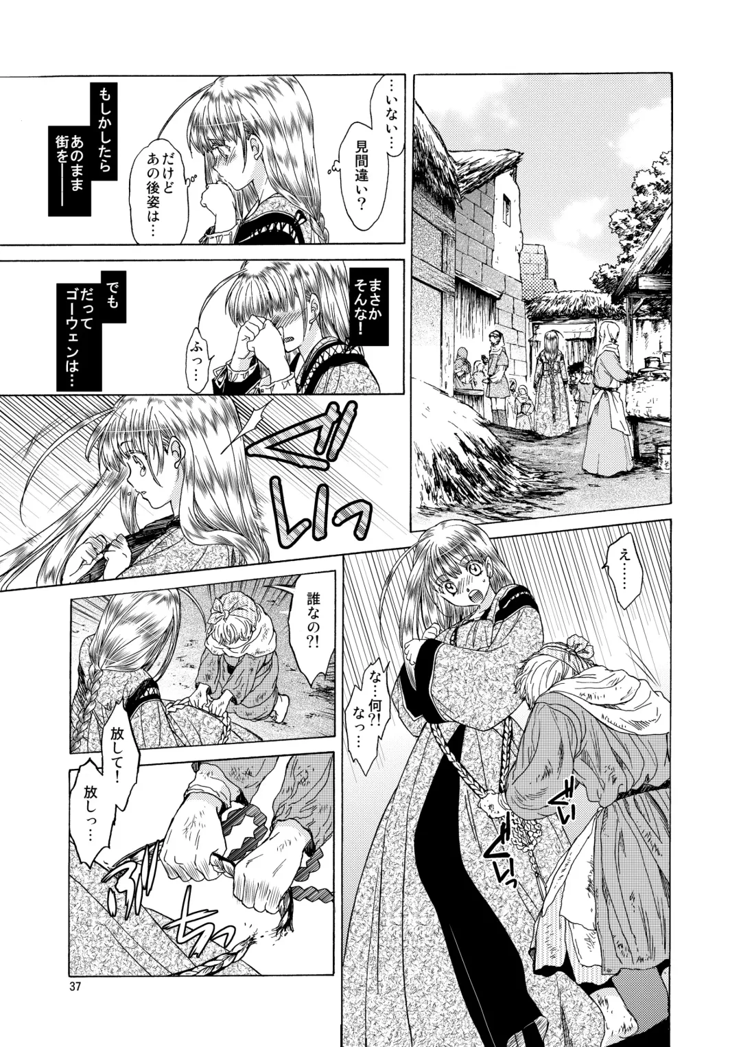 [Heizo - Kitoen] Saint Foire Festival 5 Fhentai - Page 37