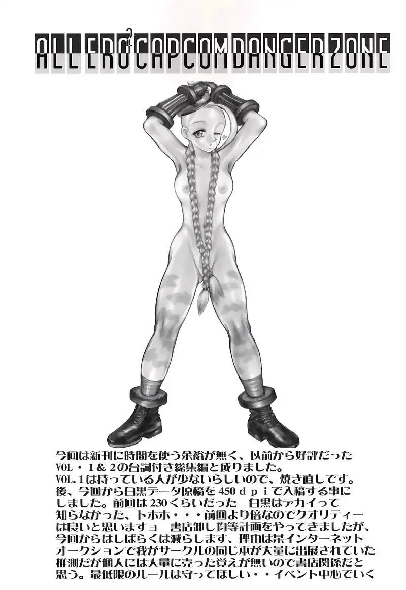 [Gojou Shino] DANGER ZONE-FILES ALL ERO2 CAPCOM COMPLETE-SP Fhentai - Page 2