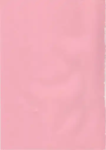 [Vanilla] White Sugar & Black Sugar Fhentai - Page 2