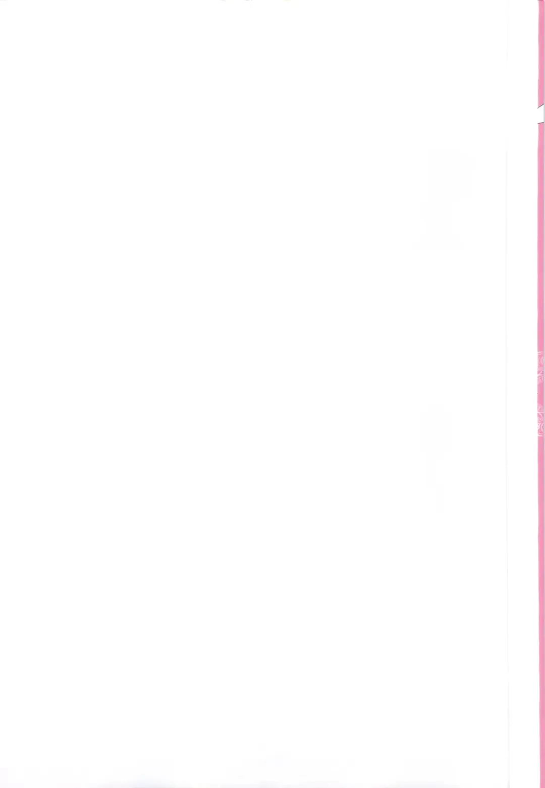 [Kazuma G-version] NANOHA-NANOHA Fhentai - Page 2