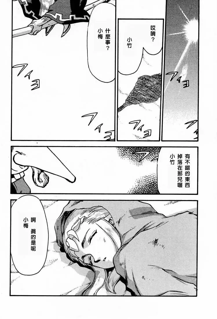 [Taira Hajime] NISE Zelda no Densetsu Shinshou Fhentai - Page 5