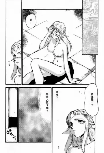 [Taira Hajime] NISE Zelda no Densetsu Shinshou Fhentai - Page 8