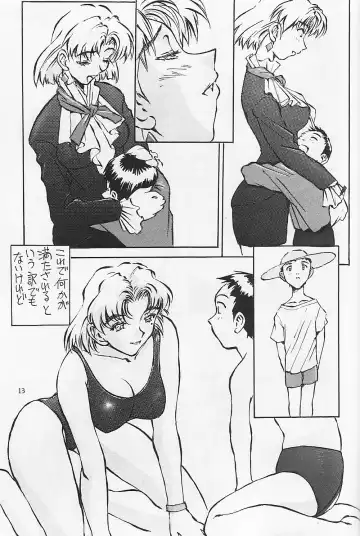 [Iwasaki Tatsuya] Akagi Ritsuko Hen - Ritsuko Akagi Edition Fhentai - Page 14