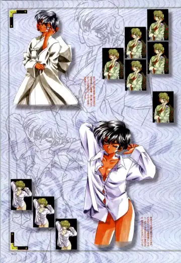 [Carnelian] Re-leaf Kouryaku & Settei Shiryoushuu Fhentai - Page 13