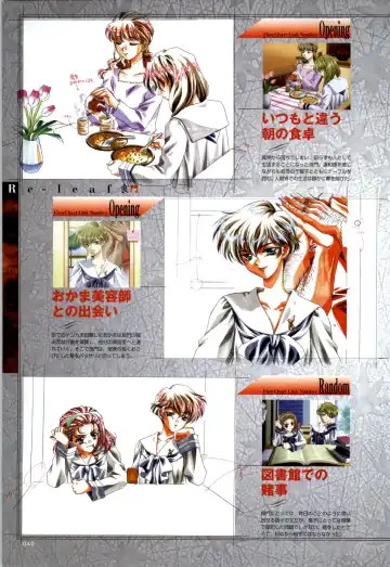 [Carnelian] Re-leaf Kouryaku & Settei Shiryoushuu Fhentai - Page 41