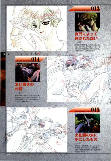 [Carnelian] Re-leaf Kouryaku & Settei Shiryoushuu Fhentai - Page 47