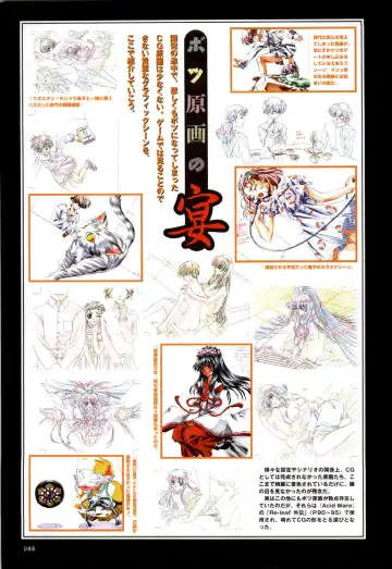 [Carnelian] Re-leaf Kouryaku & Settei Shiryoushuu Fhentai - Page 87