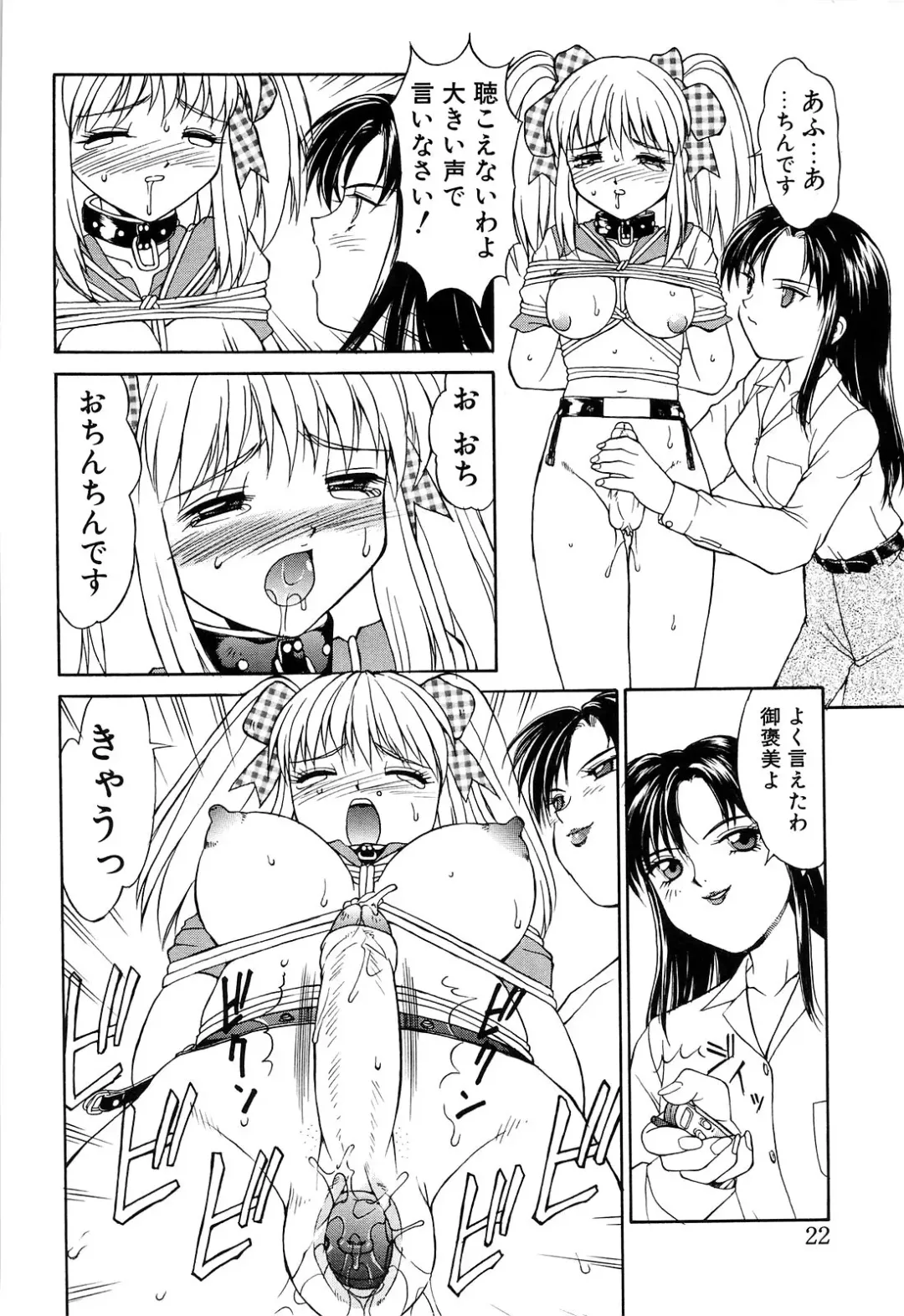 [Mizuyoukan] Haitoku Fhentai - Page 22