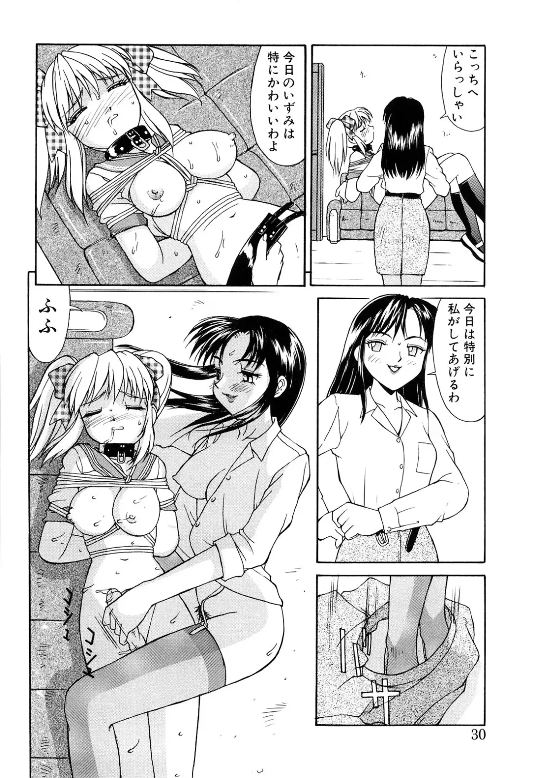 [Mizuyoukan] Haitoku Fhentai - Page 30