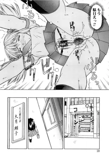 [Mizuyoukan] Haitoku Fhentai - Page 18