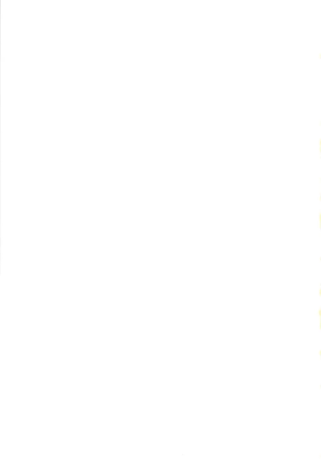 [Shousan Bouzu] PorSis Fhentai - Page 19