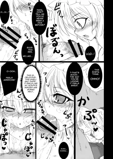 [Sanwaribiki] Gensou Enkou -Flandre- Fhentai - Page 17