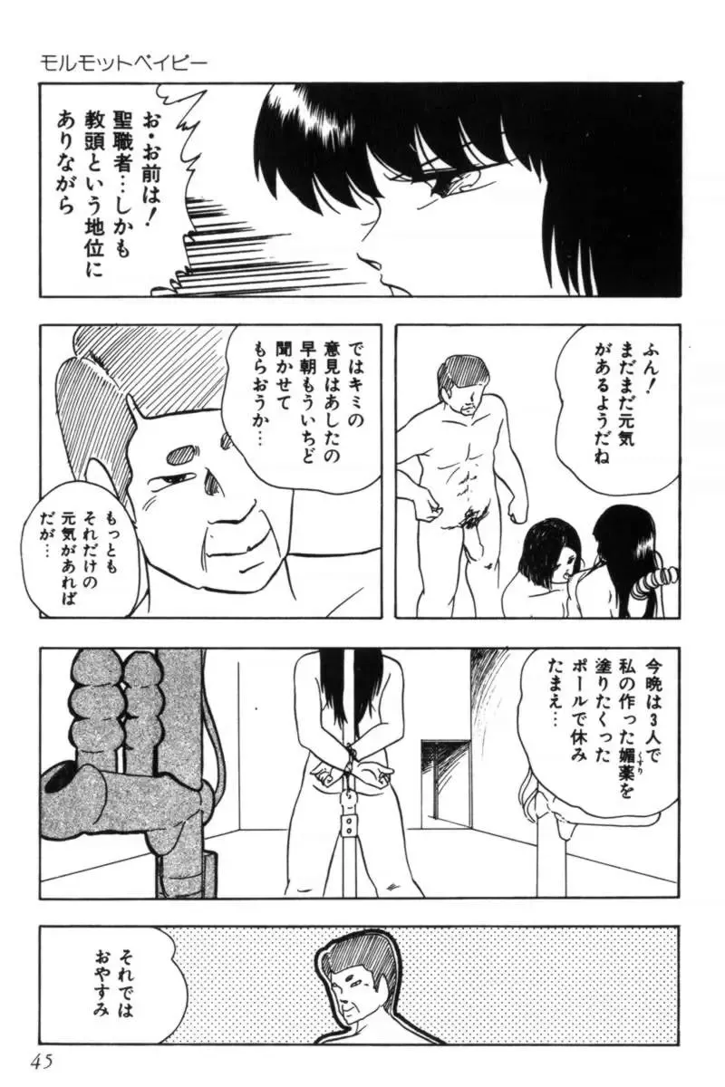 [Kazusa Shima] Slave Hunter Fhentai - Page 48