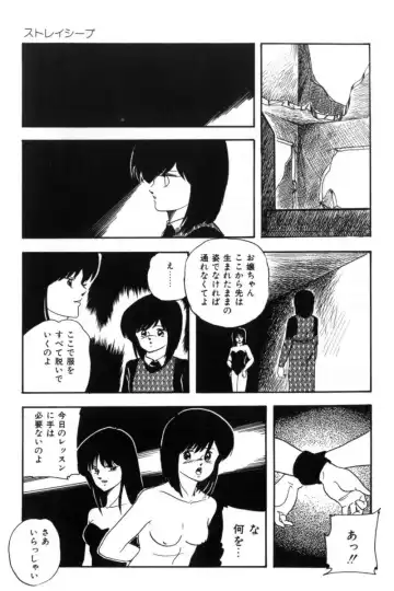 [Kazusa Shima] Slave Hunter Fhentai - Page 82