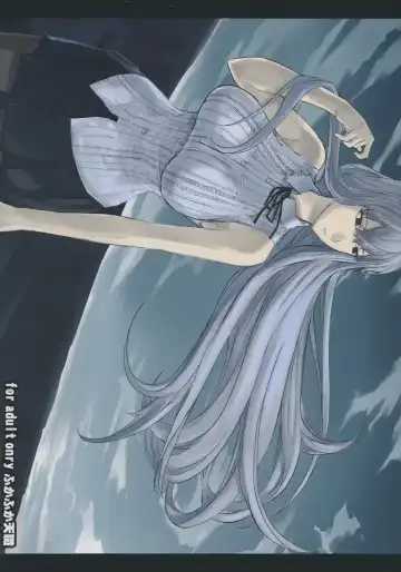 [Nishi Shizumu] Valkyria no Seikan Fhentai - Page 27