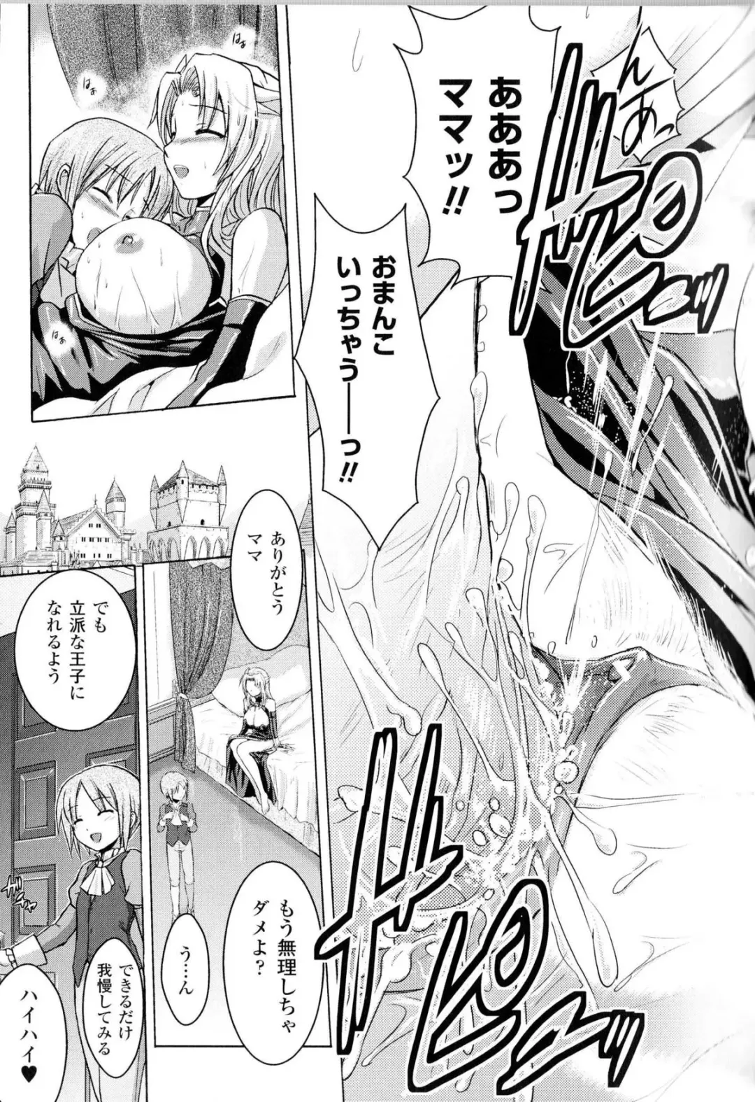[Tokimal Yoshihisa] Harem Castle Ch.1-3 Fhentai - Page 23