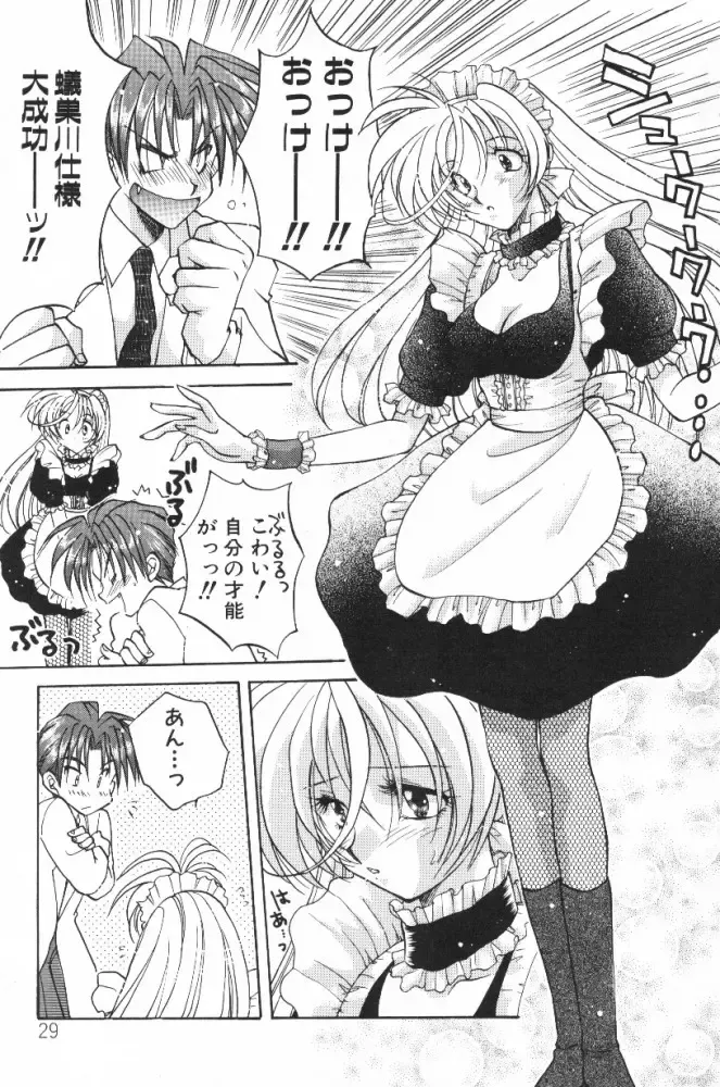 [Aranaga Hikaru] HOG Shizue-kun Fhentai - Page 29