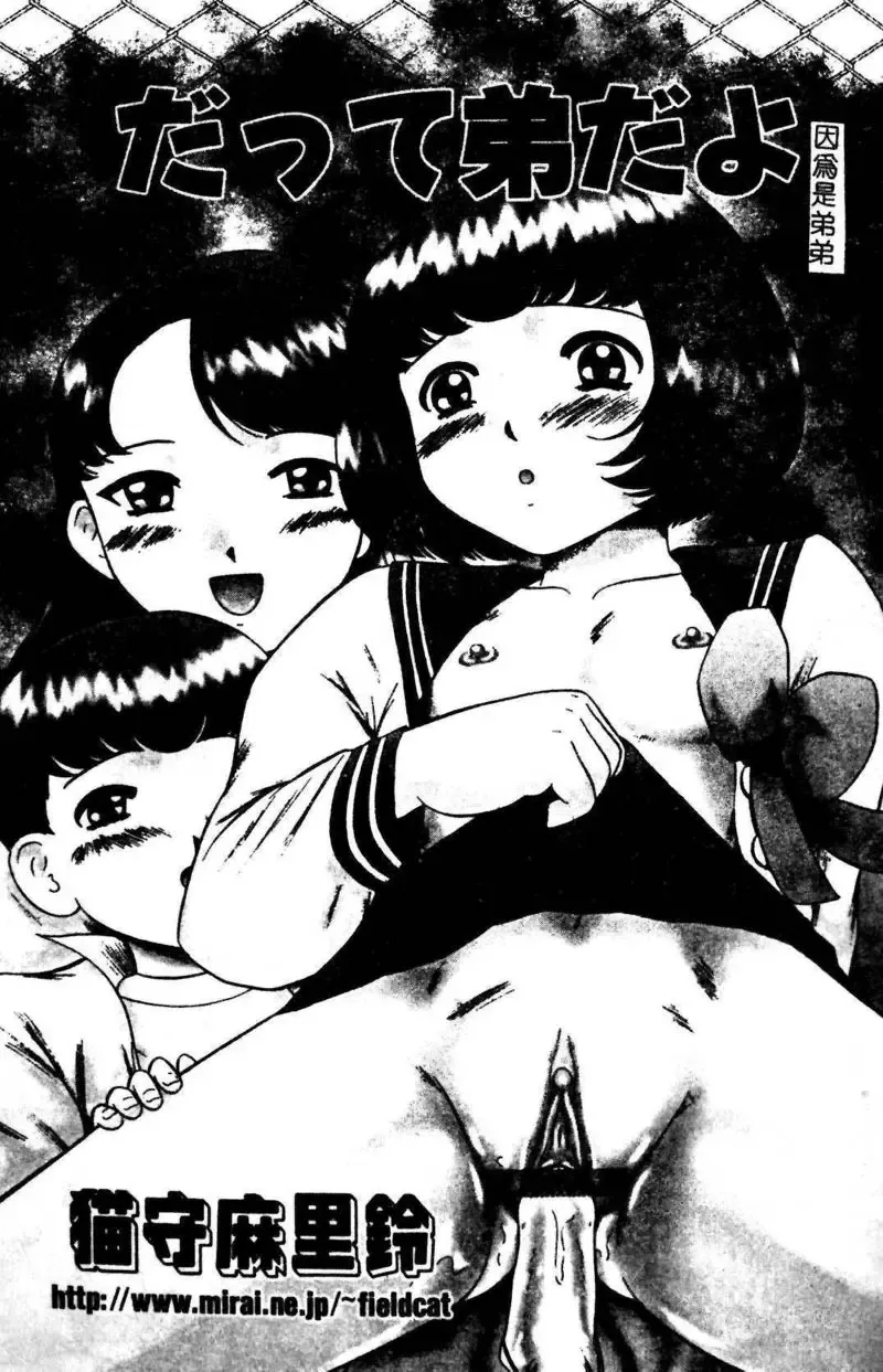 Kyoudai Renka 3 Fhentai - Page 94