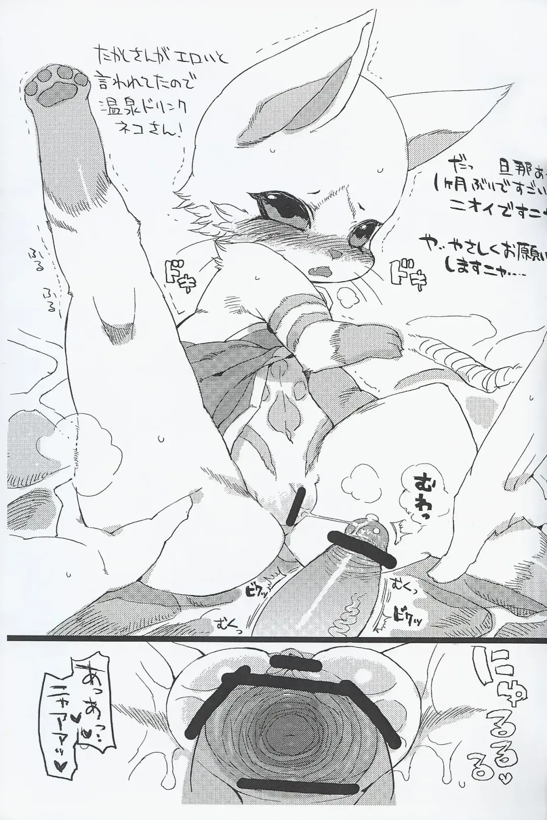 [Kemonono - Nakagami Takashi] Airou no Drinkya-san Fhentai - Page 8