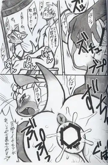 [Kemonono - Nakagami Takashi] Airou no Drinkya-san Fhentai - Page 4