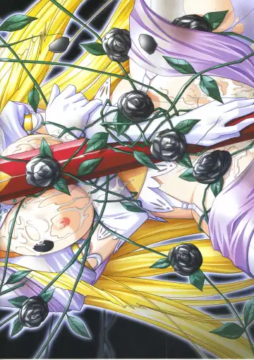 [Ribahara Aki] Elfeana ～ Yoru e to Urareta Oukoku de... ～ original artworks Fhentai - Page 10