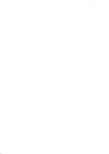 [Ribahara Aki] Elfeana ～ Yoru e to Urareta Oukoku de... ～ original artworks Fhentai - Page 12