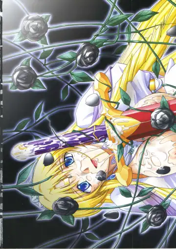 [Ribahara Aki] Elfeana ～ Yoru e to Urareta Oukoku de... ～ original artworks Fhentai - Page 9